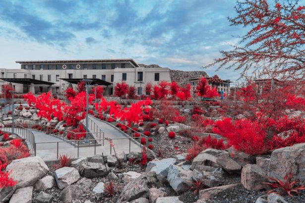 Donativo de 30 millones de dólares a la Universidad de Texas en El Paso para la escuela de ingeniería.